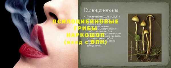 стаф Карпинск