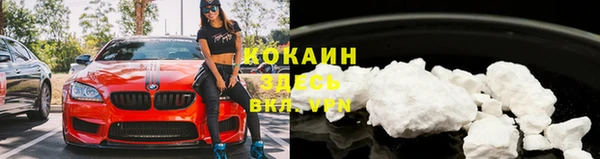 стаф Карпинск