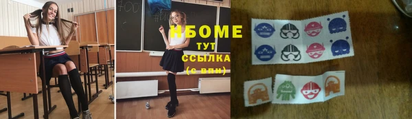 стаф Карпинск