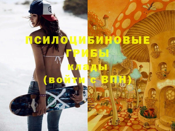соль ск Карталы