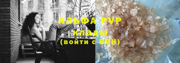 стаф Карпинск