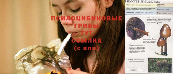 стаф Карпинск