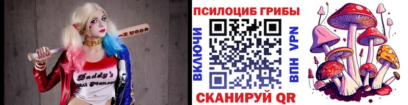 Галлюциногенные грибы ЛСД  Купить  Шагонар 