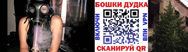 Купить где  Шагонар  Каннабис гибрид 